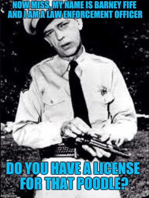 Barney fife Imgflip