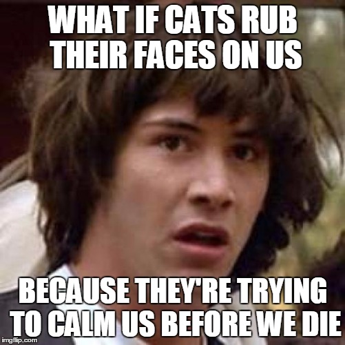 Conspiracy Keanu Meme Imgflip