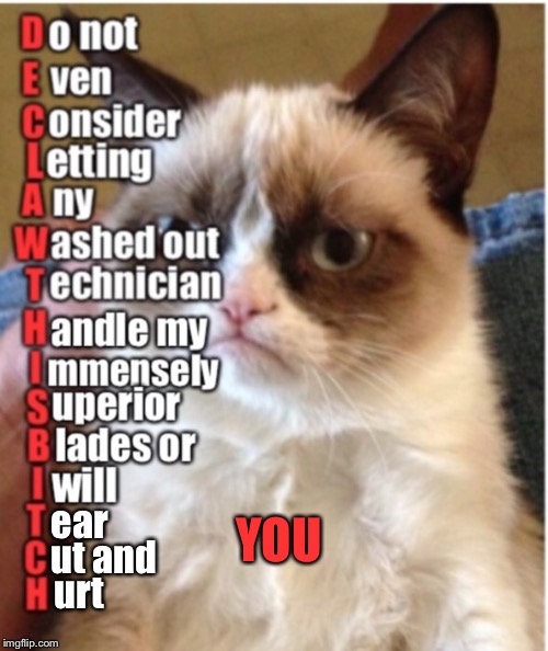 Grumpy cat overhears a call to the vet and uses acronyms also Imgflip