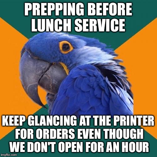 Paranoid Parrot Meme Imgflip