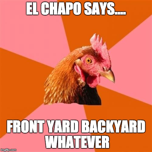 Anti Joke Chicken Meme Imgflip