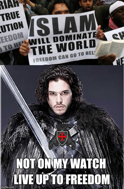 Freedom fighter Imgflip