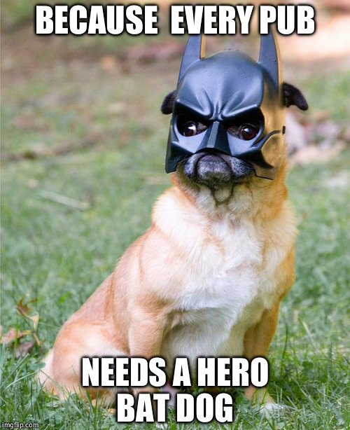 Batman Pug Imgflip