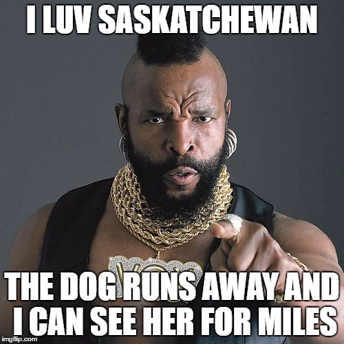 Mr T Pity The Fool Meme Imgflip