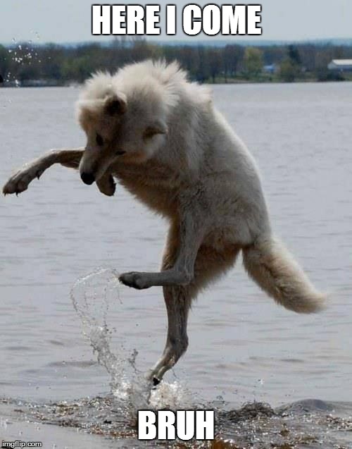 oh dang Memes & GIFs Imgflip