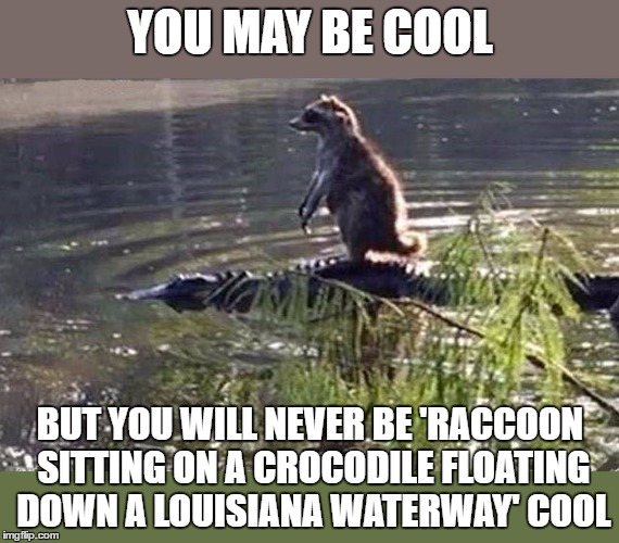 Image tagged in very kewl Imgflip