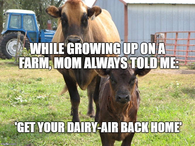 Image tagged in farm humor Imgflip