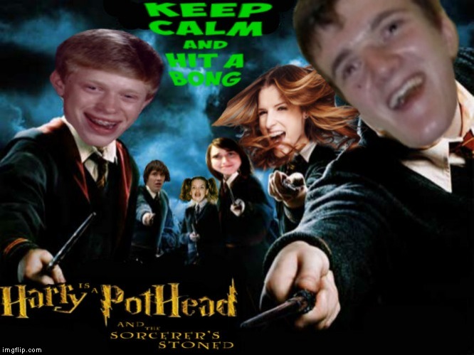 harry pothead Memes & GIFs Imgflip