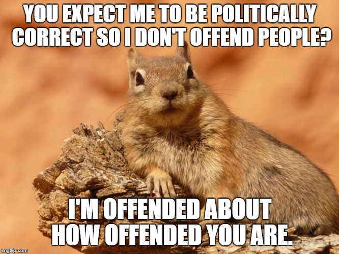 Social Expectations Squirrel Imgflip