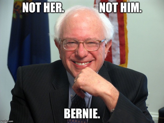 Vote Bernie Sanders Imgflip