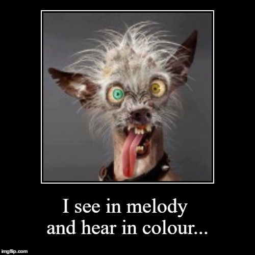 too much partying Imgflip