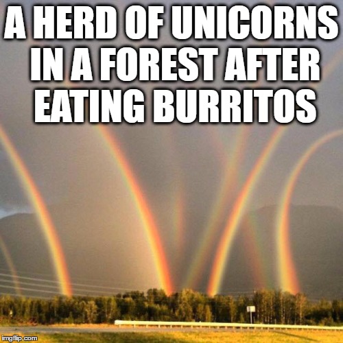 oh you silly unicorns.... Imgflip