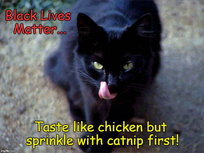 Black cat thinks Black Lives Matter taste like chicken