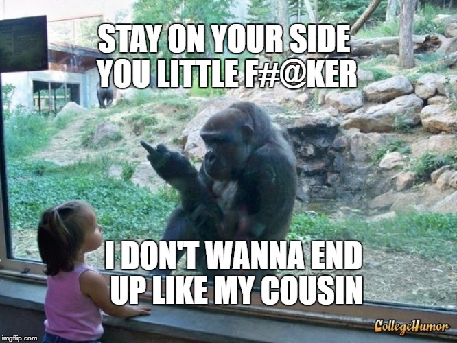 Gorilla Flipping Bird Memes Gifs Imgflip