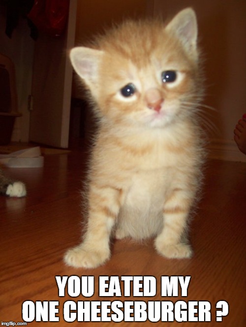 My one cheeseburger ? Imgflip