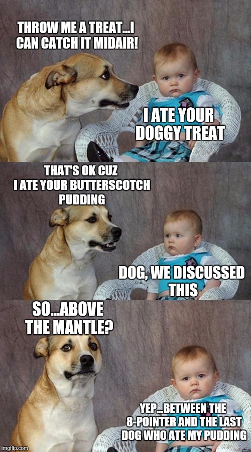 Dad Joke Dog Meme Imgflip
