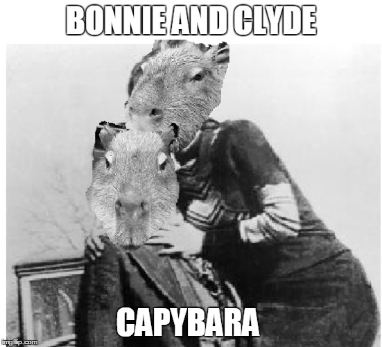 Bonnie And Clyde Jokes