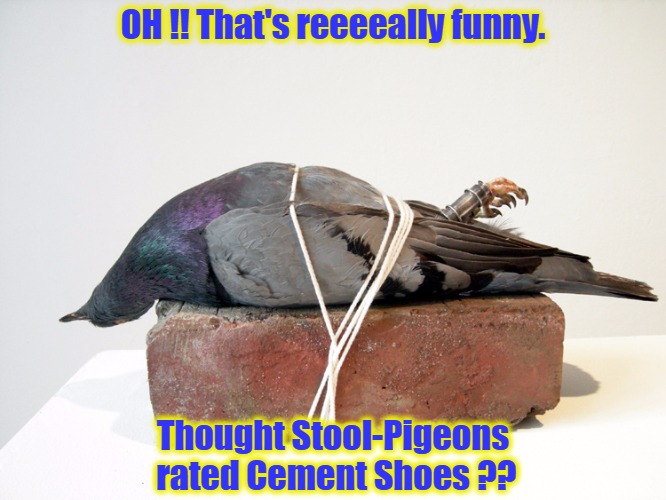 Birds of a Feather, flock together, when your not tied to a BRICK