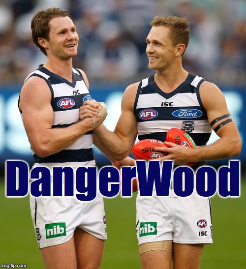 DangerWood Imgflip