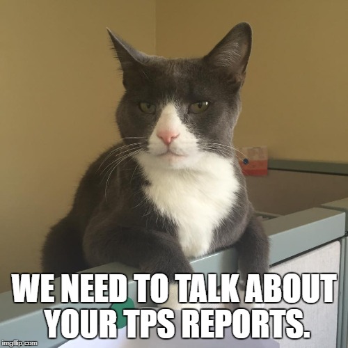 Office Cat Meme Funny