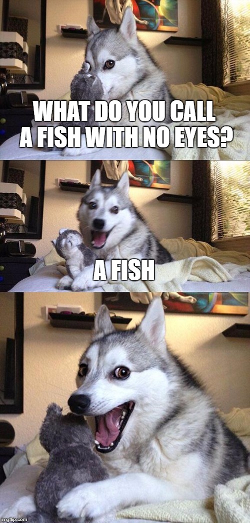 Horrible Pun Dog Joke Courtesy of Reddit Imgflip