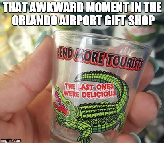 Found at the Orlando airport gift shop... Imgflip