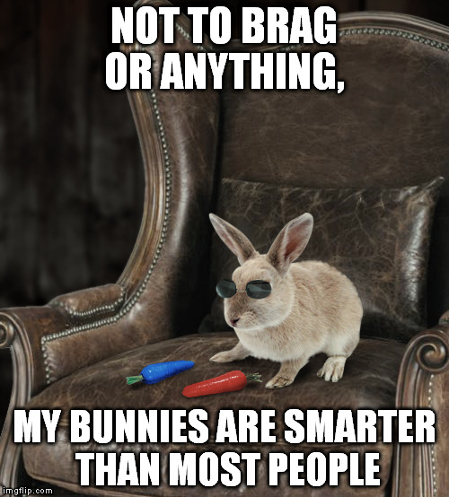 Image tagged in matrix wise bunnies Imgflip