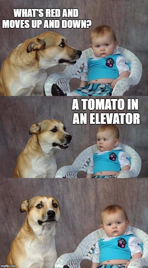 Dad Joke Dog Meme Imgflip