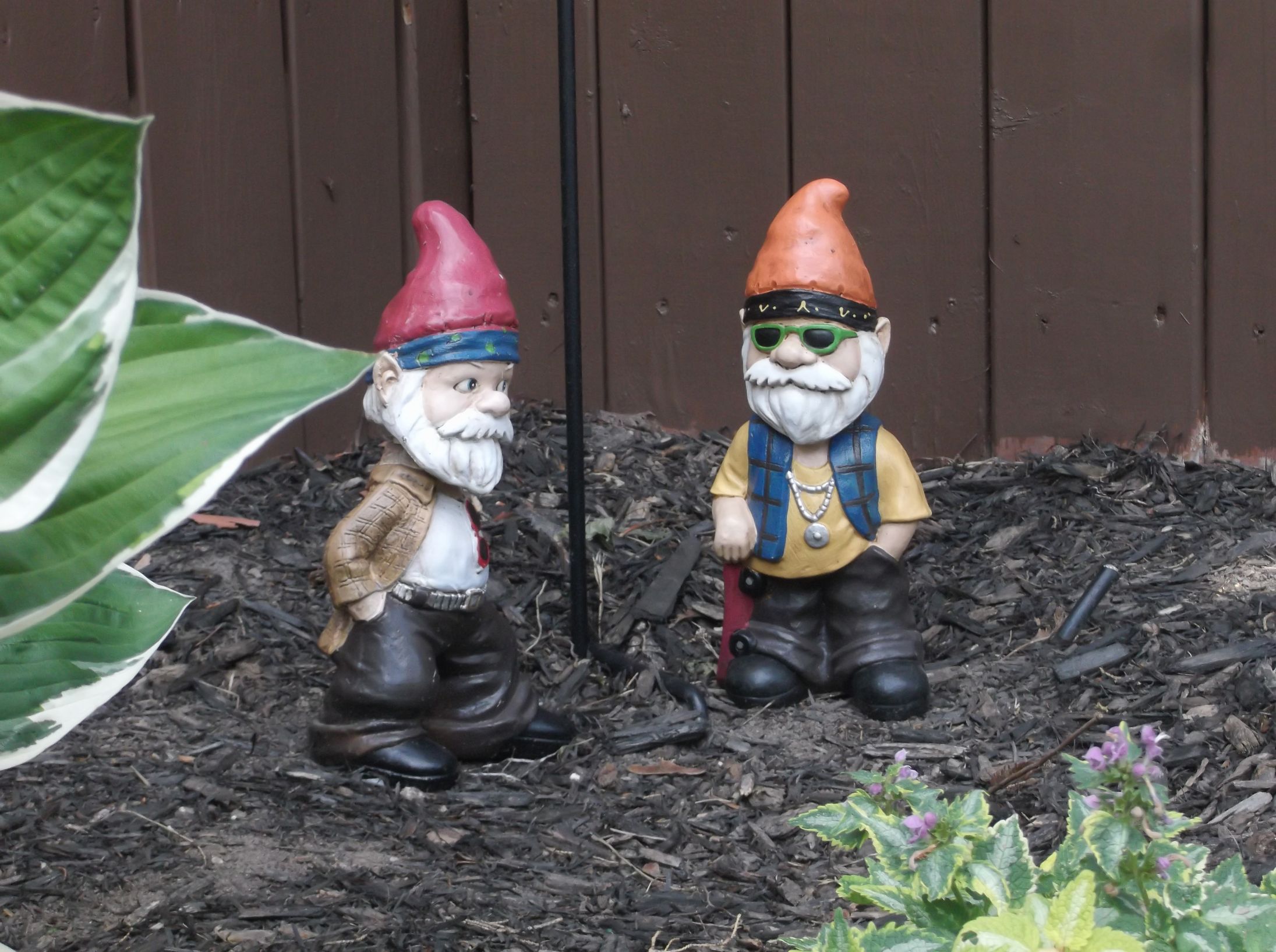 Garden Gnomes Blank Template Imgflip