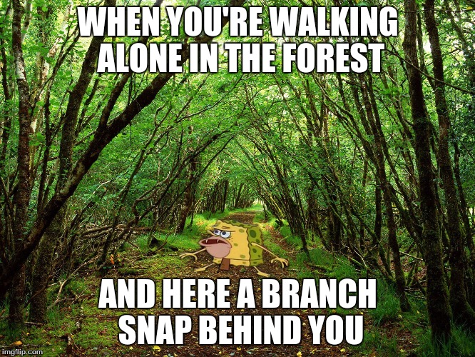 Spongegar In The Forest. ) Imgflip