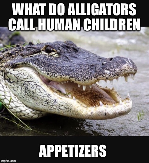 Too soon??? Imgflip