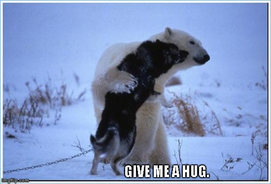 Image tagged in give me a hug Imgflip