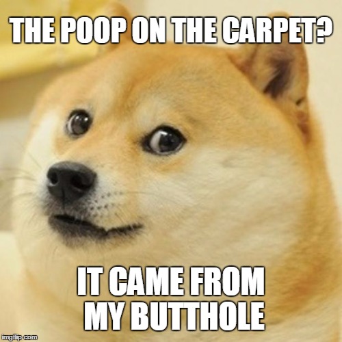 Doge poo... Imgflip