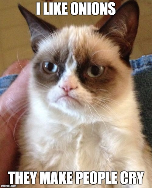 Grumpy Cat Meme Imgflip