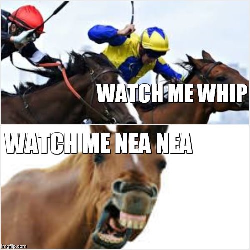 Image tagged in horse face,whip nae nae Imgflip