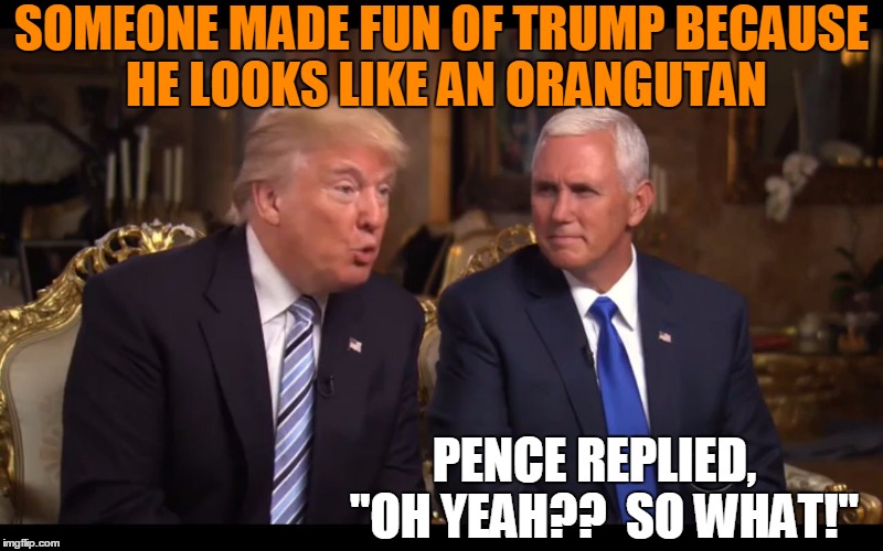 Pence He's got Trump's back! Imgflip