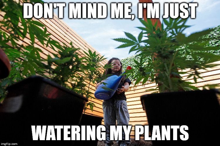 Don't Mind Me Imgflip