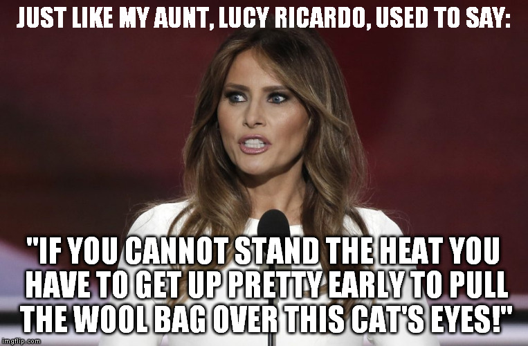 Melania Trump is a moron. Imgflip