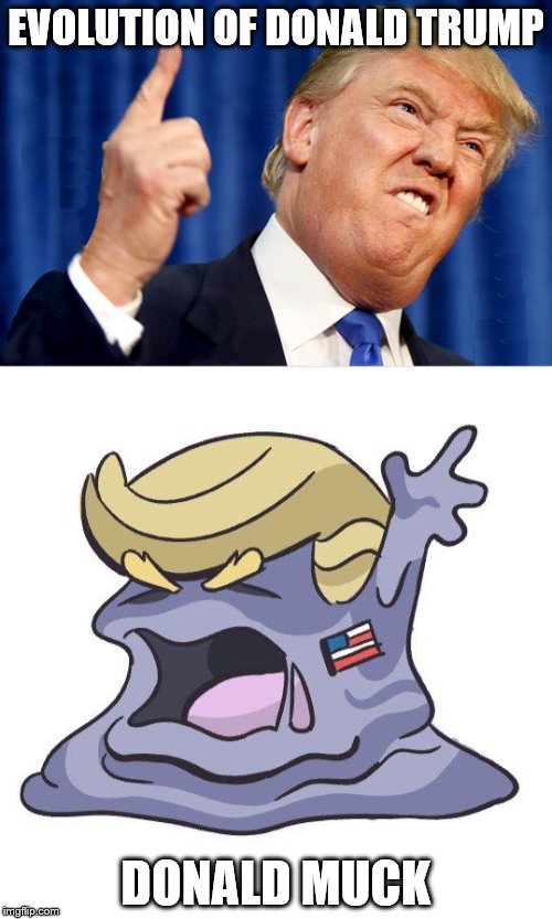 they say he's a candidate, but also a parttime pokemon Imgflip