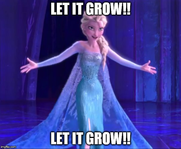Let It Grow!! Imgflip