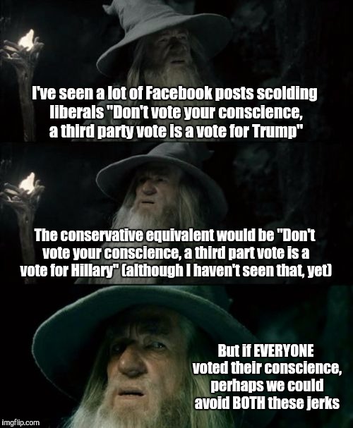 Voting your conscience should be a GOOD thing Imgflip