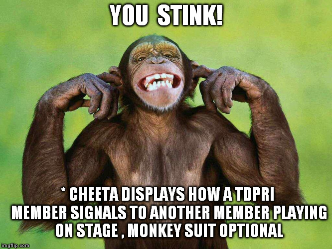Image tagged in monkey hear no evil Imgflip