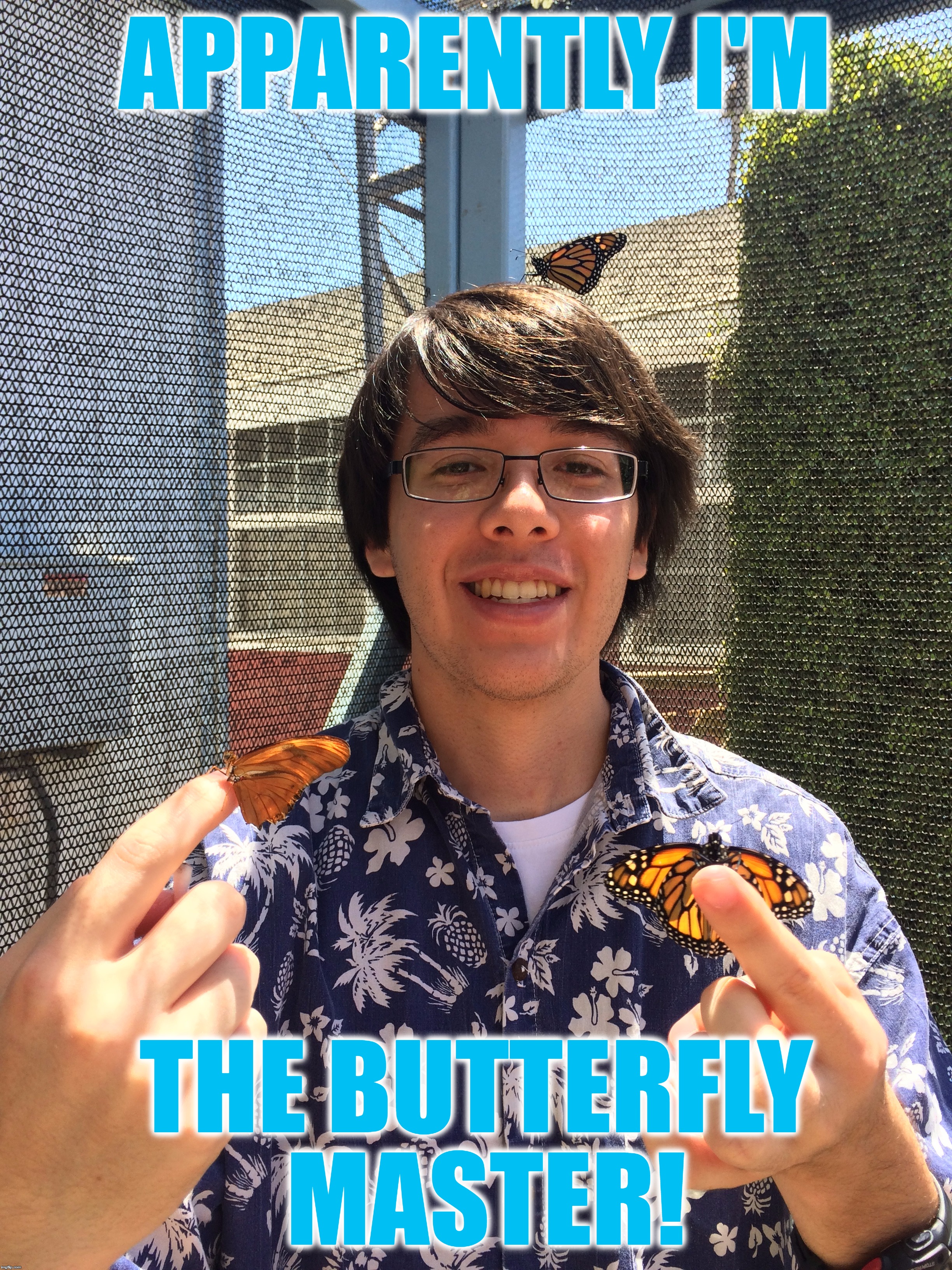 Guy With Butterfly Meme / butterfly confused anime guy butterfly meme