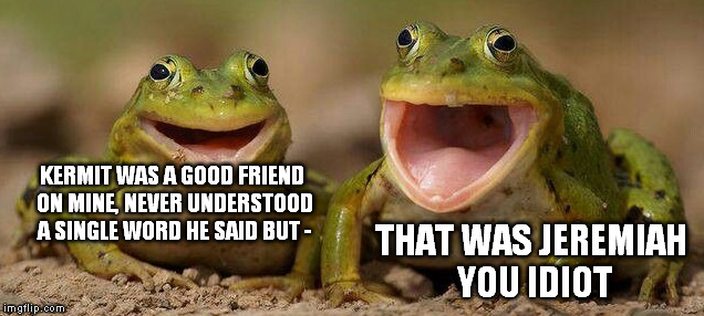 Image tagged in frog,kermit the frog Imgflip