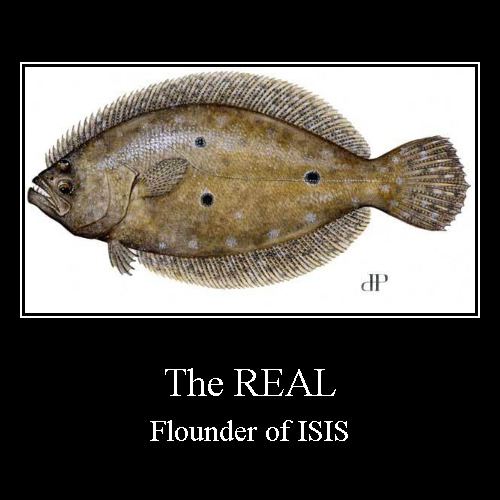 Our Flounder Imgflip