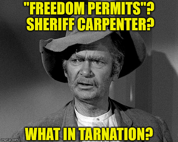 What in tarnation Imgflip