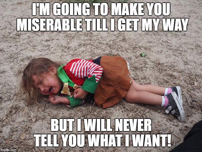 tantrum Memes & GIFs Imgflip