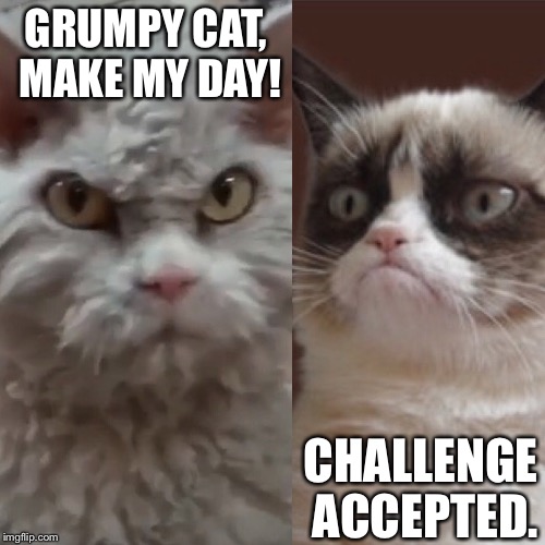 Image tagged in memes Imgflip