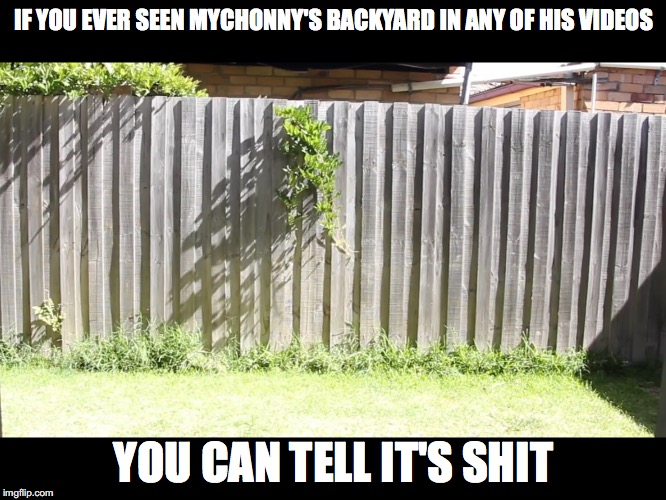 backyard Memes & GIFs Imgflip