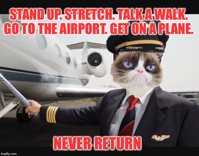Grumpy cat's life lessons tip 3 Imgflip